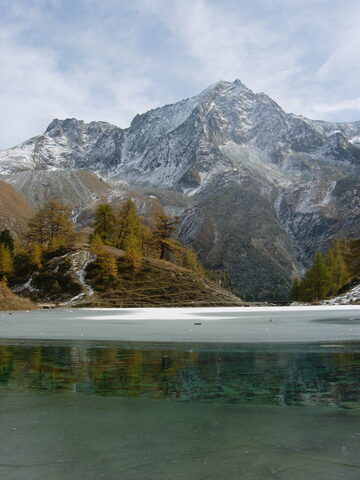 Arolla