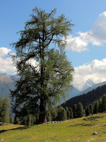 Barrage de Moiry