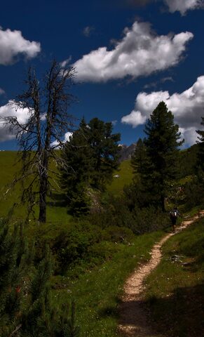 Passo delle Erbe
