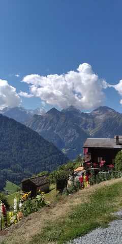 Col du Grand Saint-Bernard