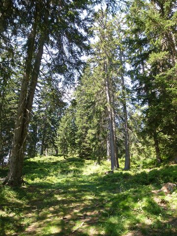 Col des Saisies