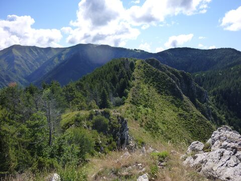 Col de Turini